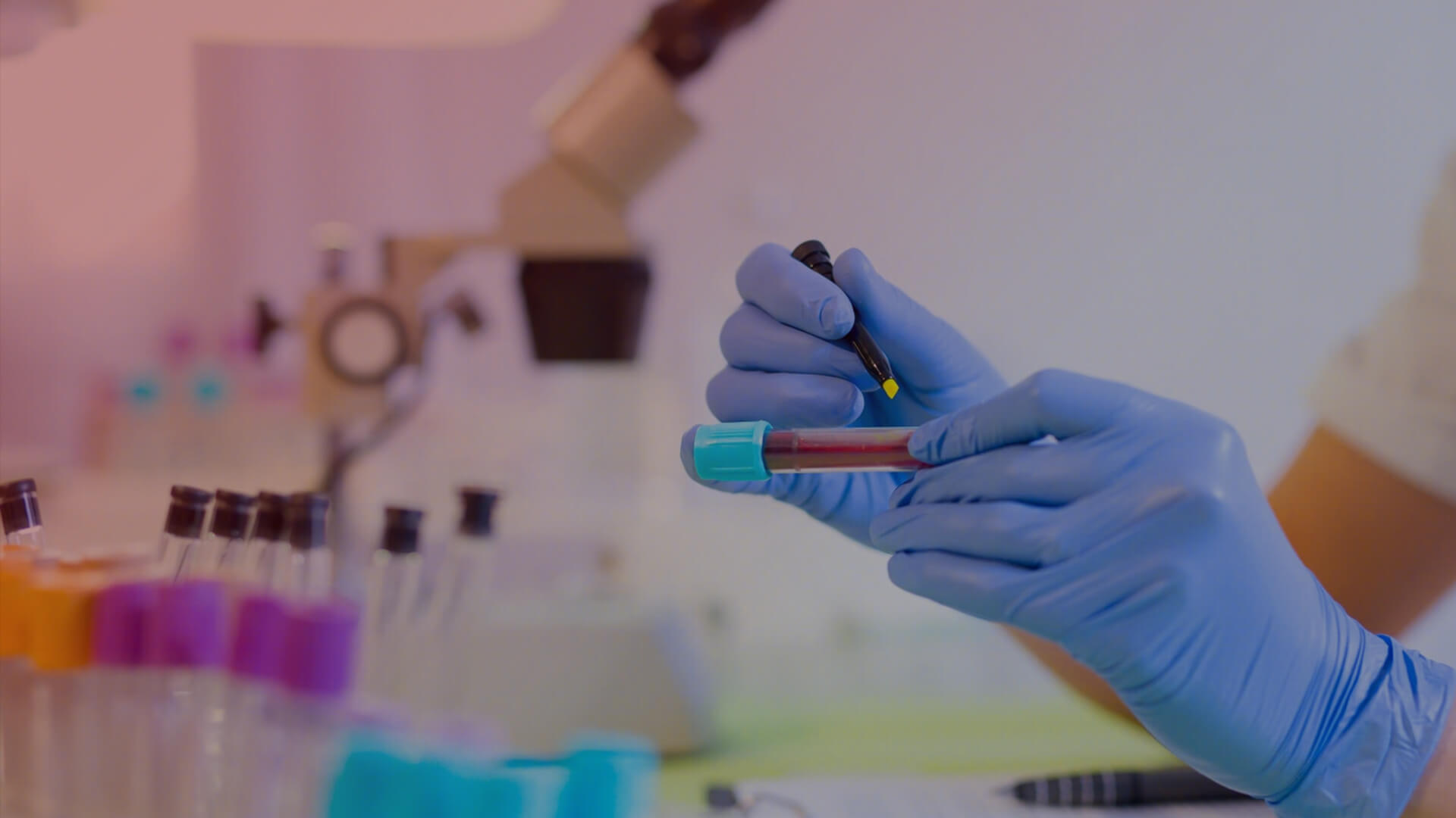 復方鱉甲軟肝片聯合恩替卡韋雙抗治療 