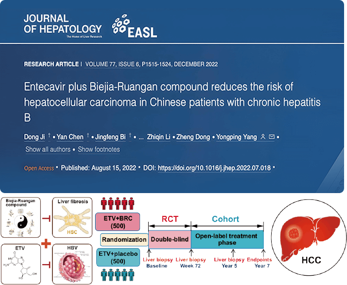 復方鱉甲軟肝片聯(lián)合抗病毒藥物治療，可顯著降低肝癌發(fā)生